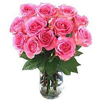 Pink roses with glass vase