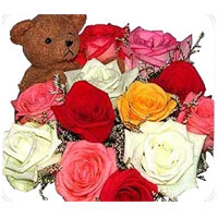 1 dozen multicolor roses w/ bear