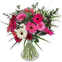 12 pcs Mixed Gerbera  Arrange in a Glass Vase