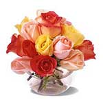 15 Mixed  Roses in Vase